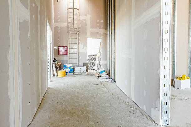 Best Drywall Sanding and Smoothing  in Orcutt, CA